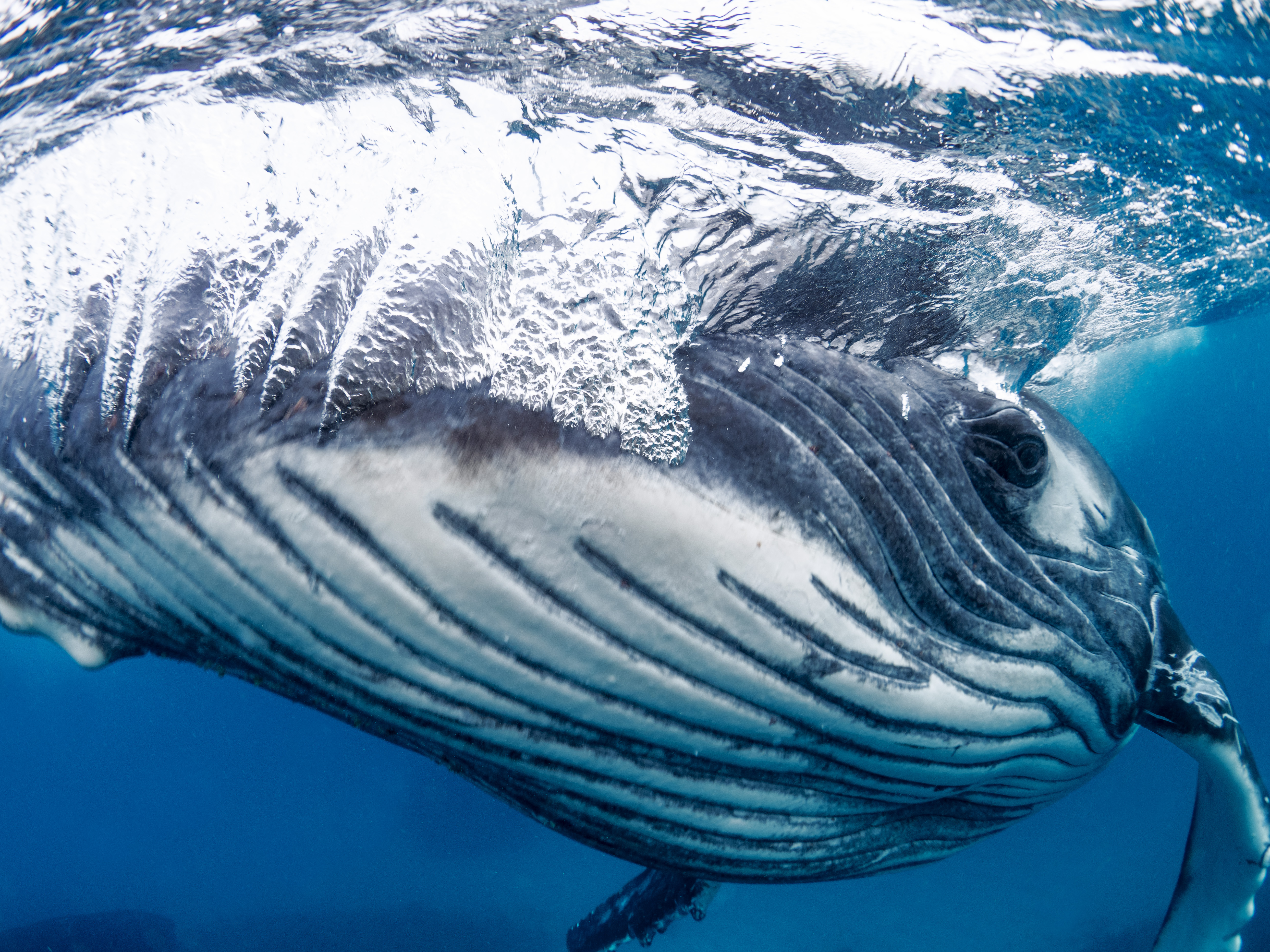 写真集「海を旅する」 - ブックマン社